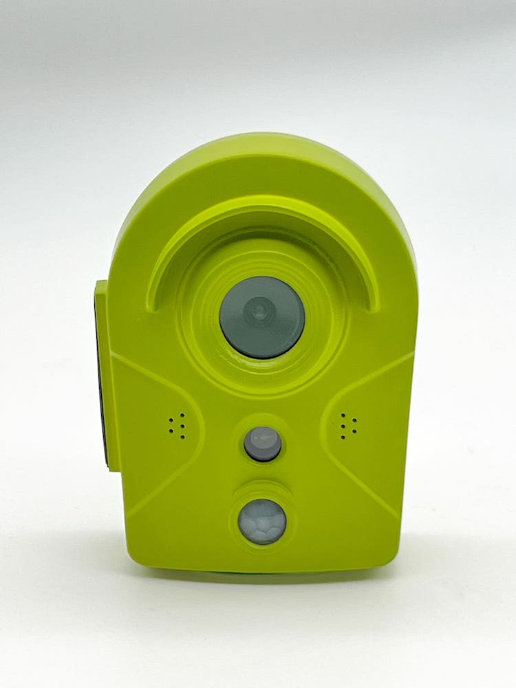 telecamera per uccelli - Telecamera di osservazione con casetta per uccelli