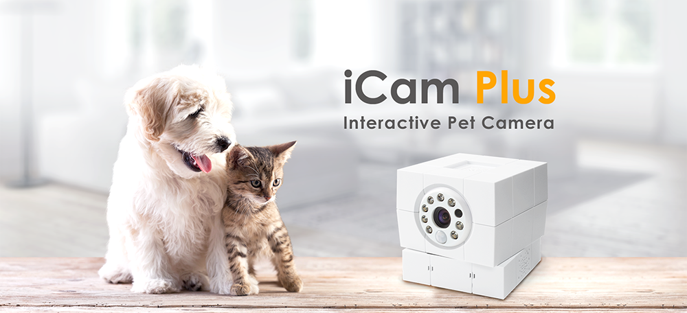 Home Monitoring telecamera IP più animali
