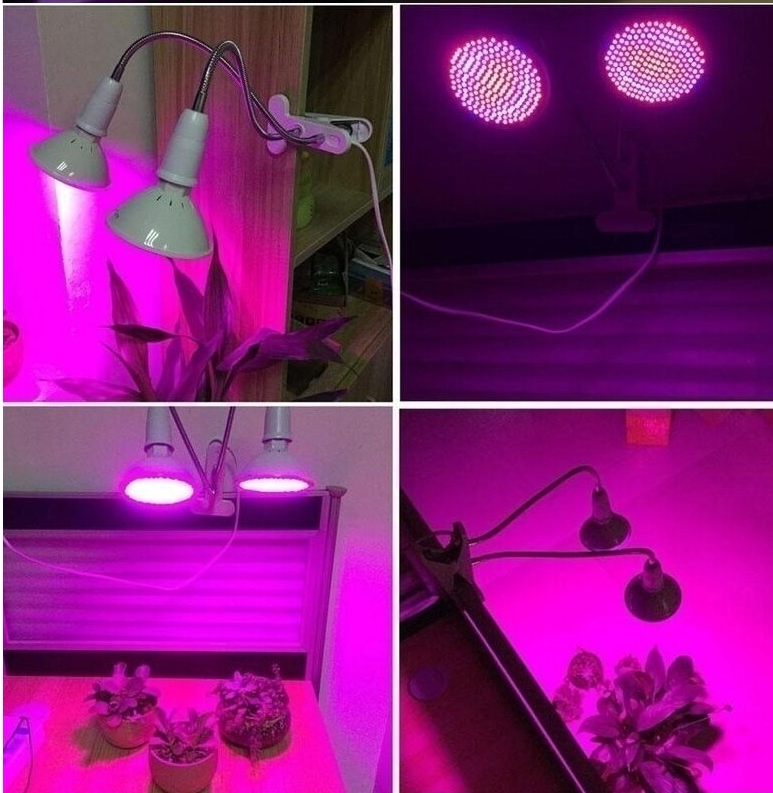 luce artificiale per piante