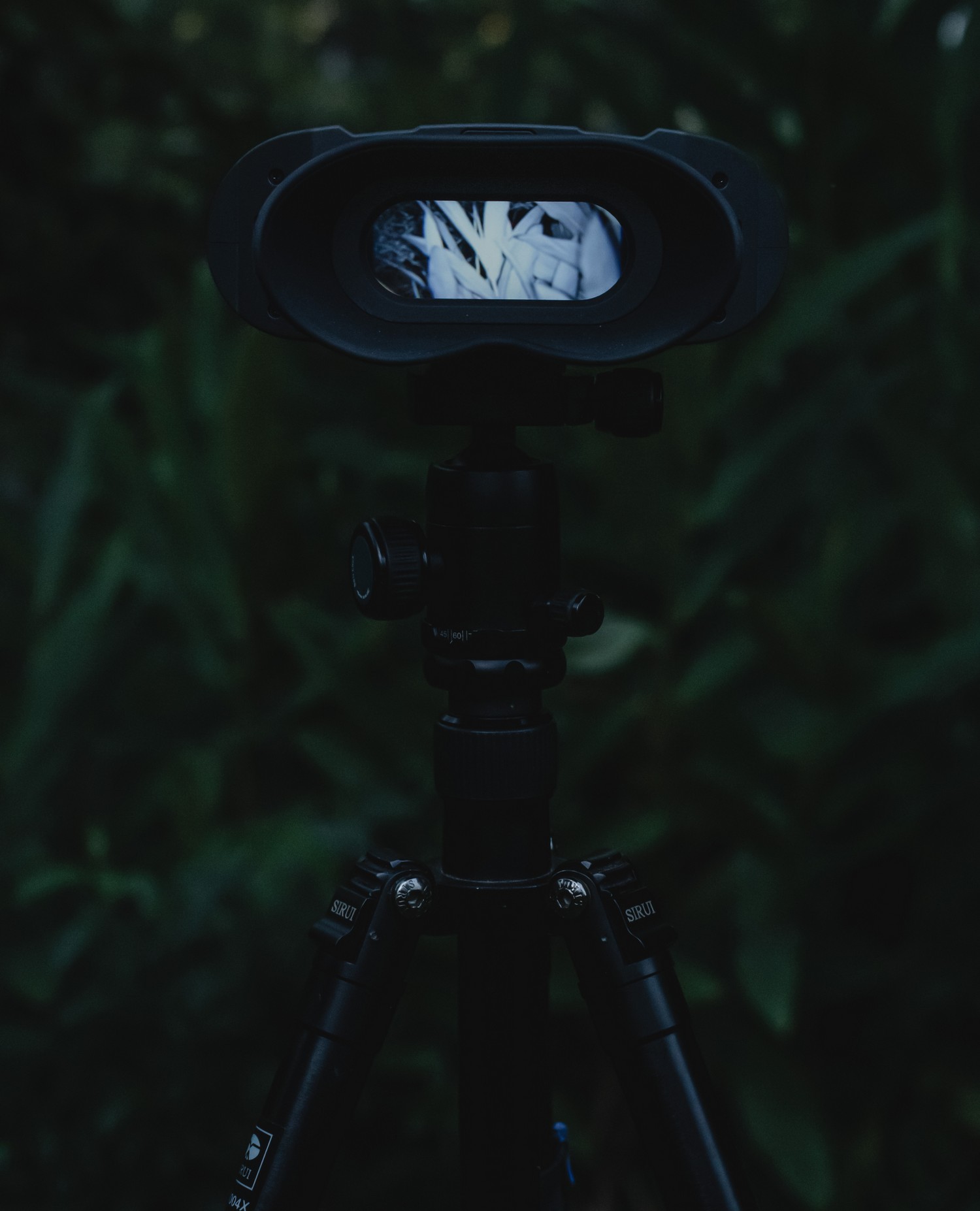 visione notturna NVB 200 - Commutazione automatica in modalità doppia giorno e notte