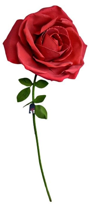 Rosa enorme XXL: rose come regalo per una donna
