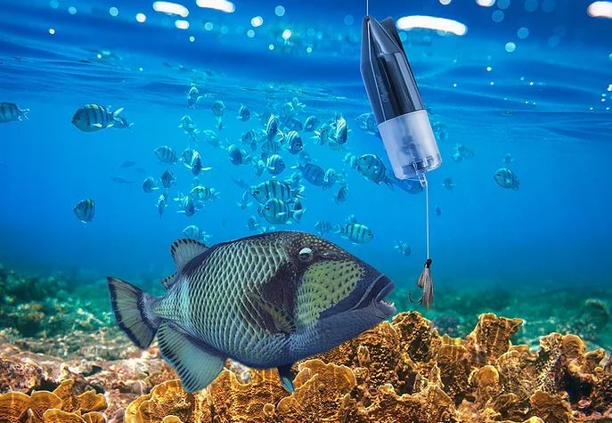 fotocamera pesce subacquea