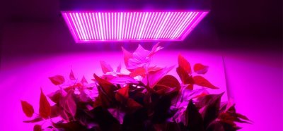 LED coltiva la lampada